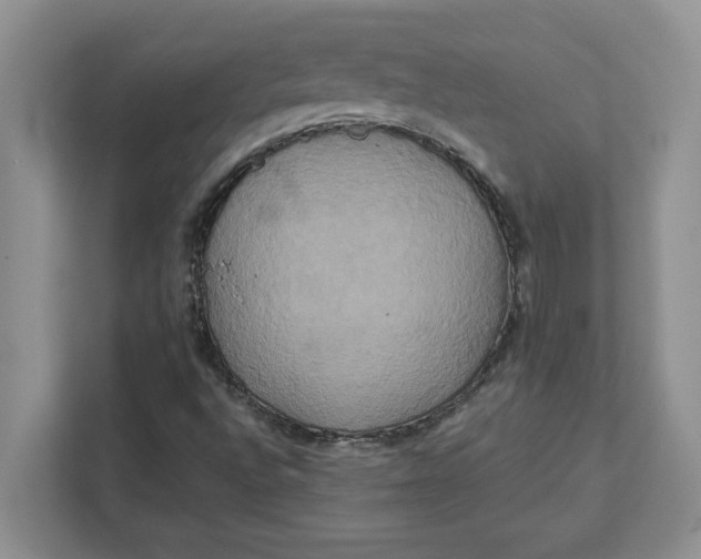 X0000111821496200908061125