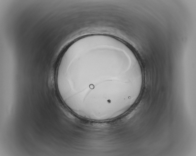 X0000111821498200908061125