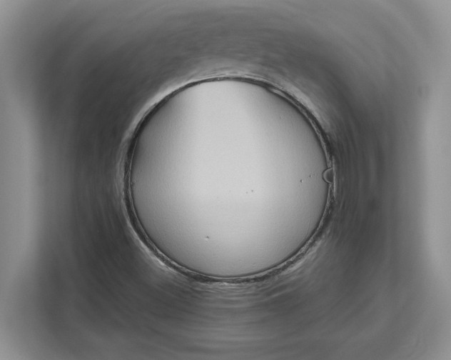 X0000111821500200908061125