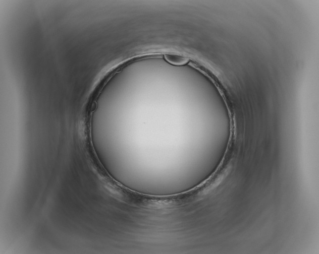 X0000111821501200908061125