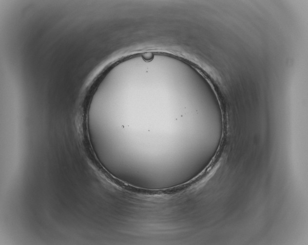 X0000111821502200908061125