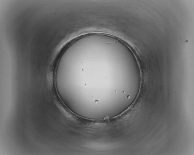 X0000111821503200908061125