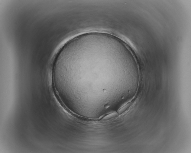 X0000111821504200908061125