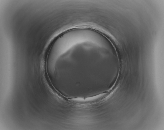 X0000111821506200908061125