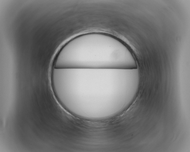 X0000111821508200908061125