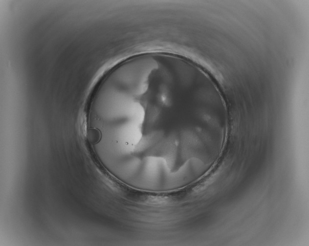 X0000111821509200908061125