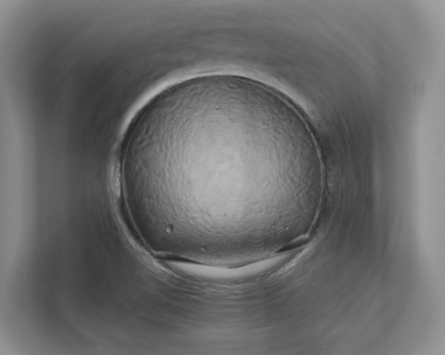 X0000111821510200908061125