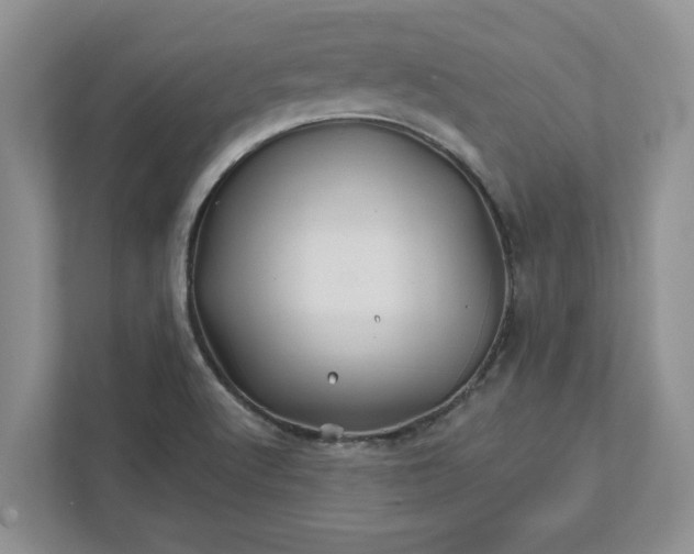 X0000111821512200908061125