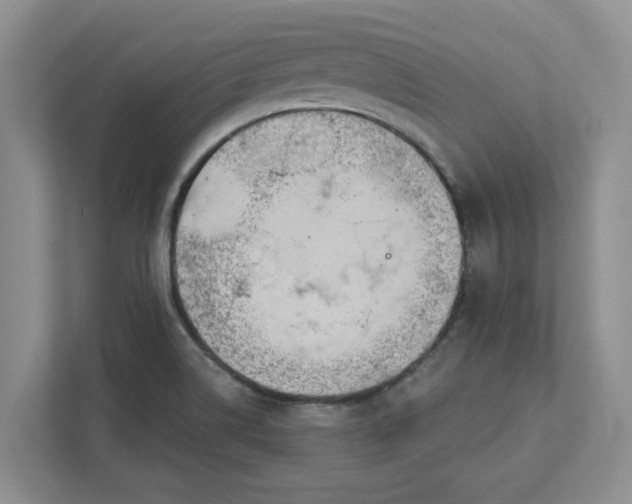 X0000111821514200908061125