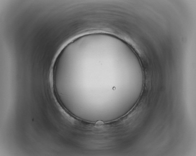 X0000111821516200908061125