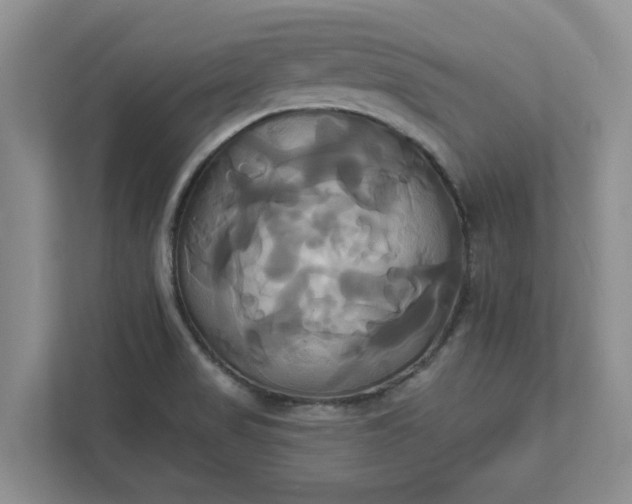 X0000111821517200908061125