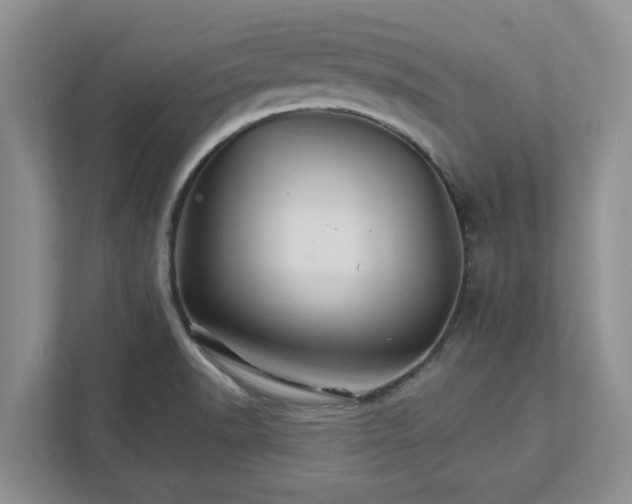 X0000111821518200908061125