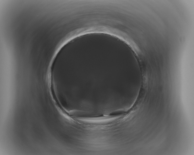 X0000111821519200908061125