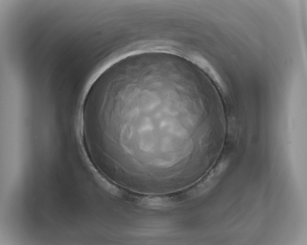 X0000111821520200908061125
