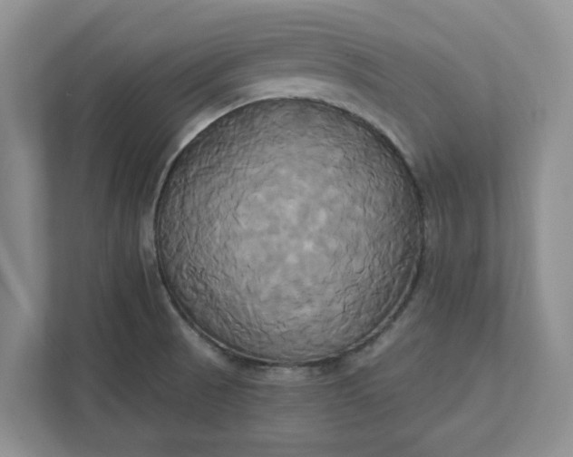 X0000111821521200908061125