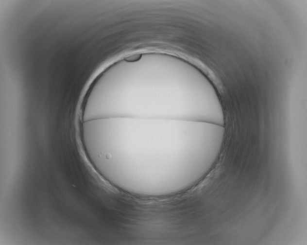 X0000111821522200908061125