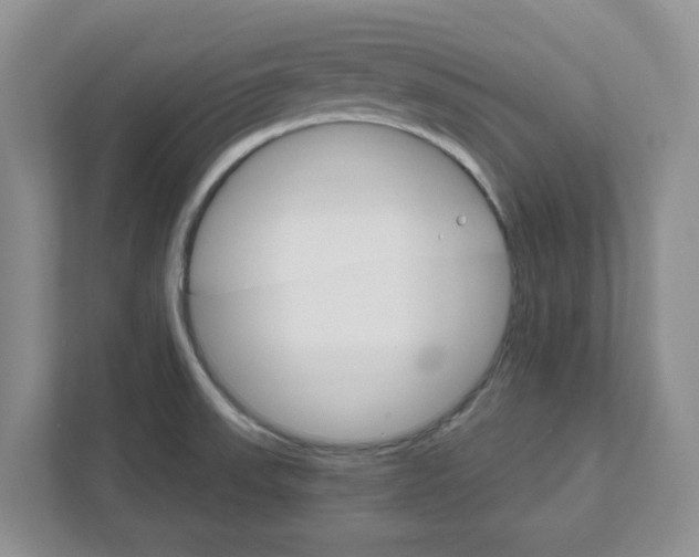 X0000111821523200908061125