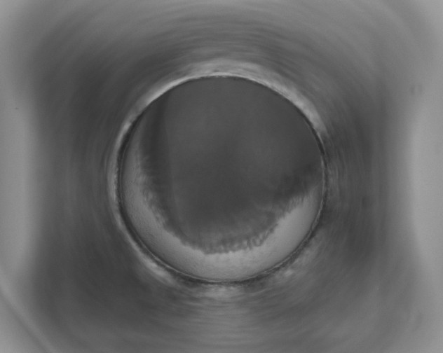 X0000111821525200908061125