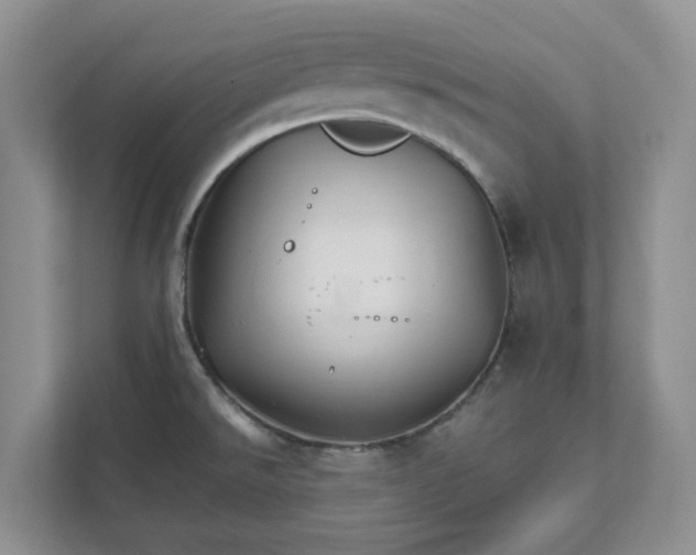 X0000111821526200908061125
