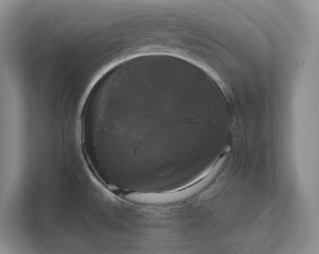 X0000111821527200908061125