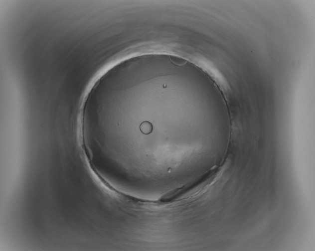 X0000111821528200908061125