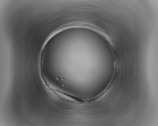 X0000111821530200908061125
