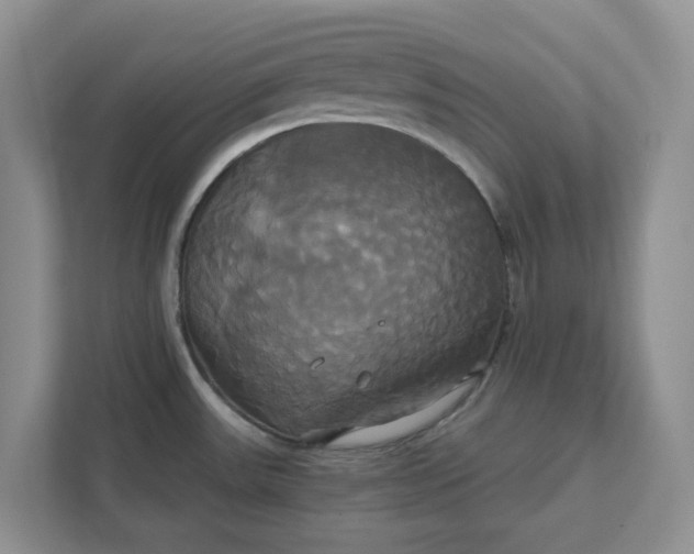 X0000111821531200908061125