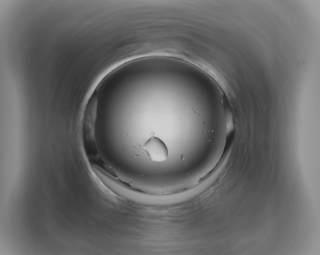 X0000111821532200908061125