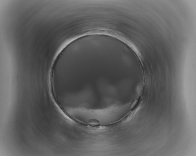 X0000111821533200908061125