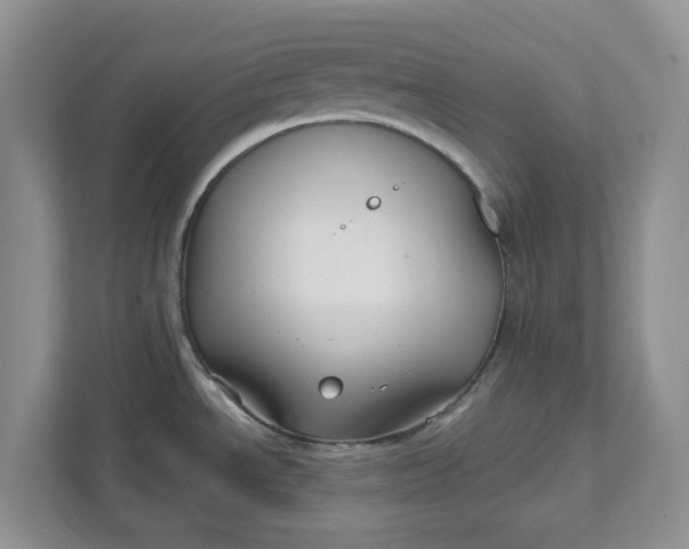 X0000111821534200908061125