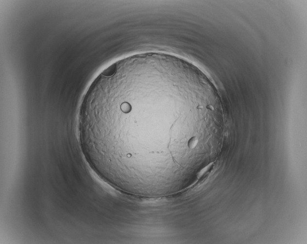 X0000111821535200908061125