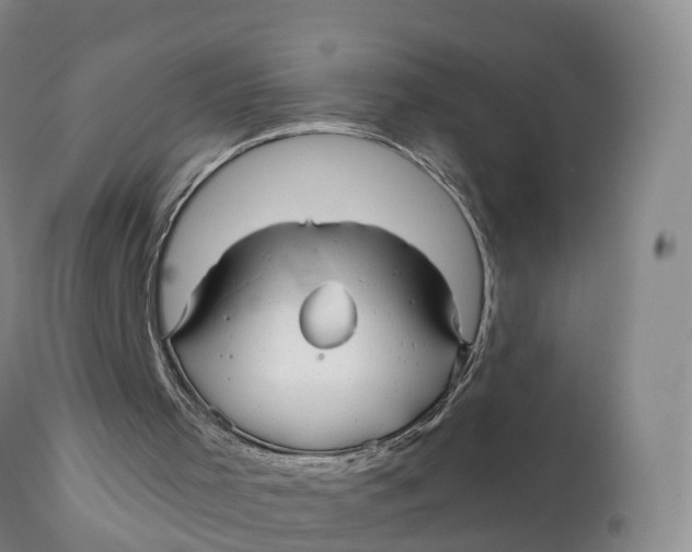 X0000111820001200908131533