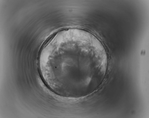 X0000111820002200908131533