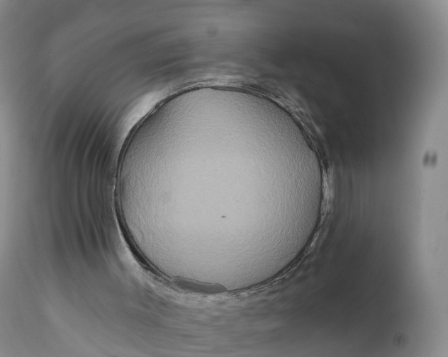 X0000111820003200908131533