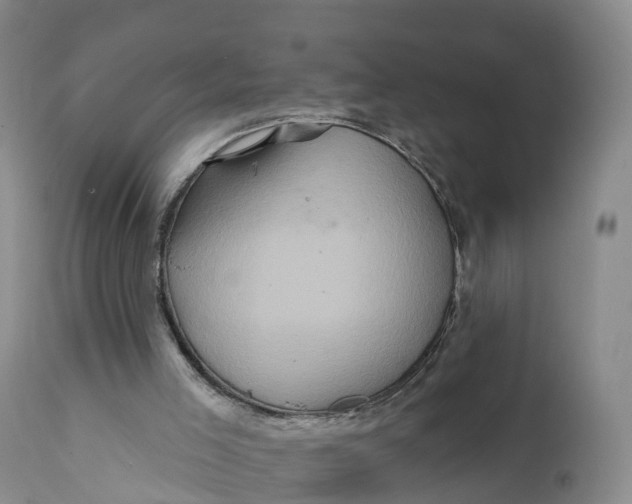 X0000111820005200908131533