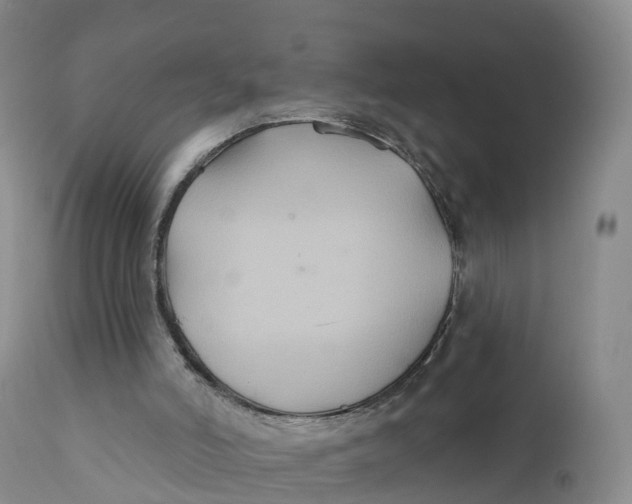 X0000111820006200908131533