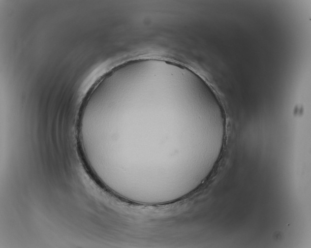 X0000111820007200908131533