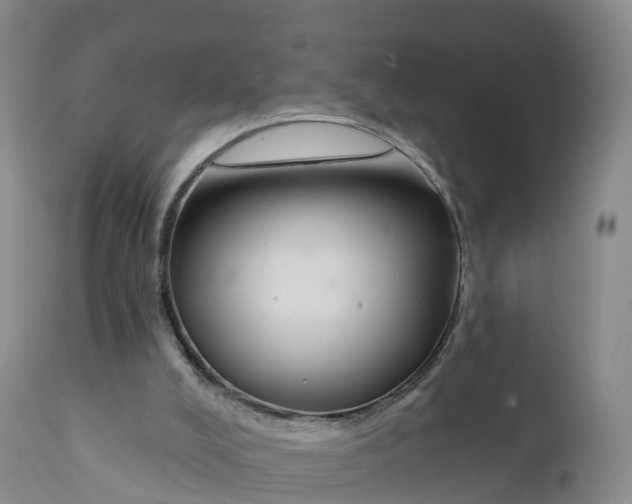 X0000111820008200908131533