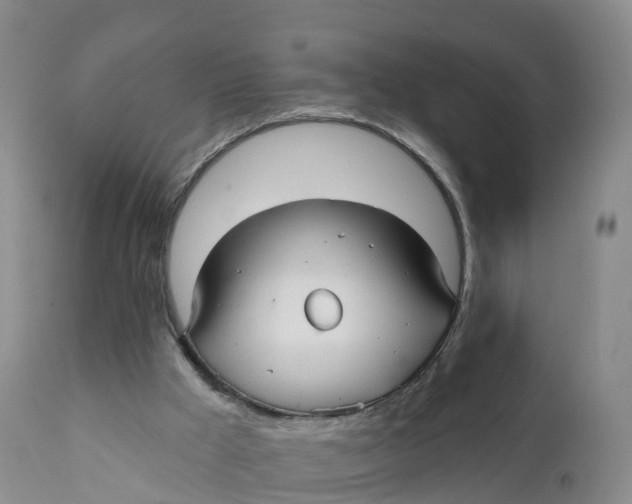 X0000111820009200908131533