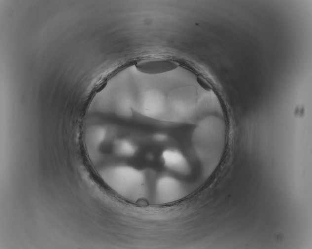 X0000111820010200908131533