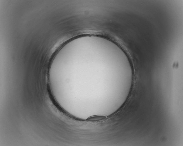 X0000111820011200908131533