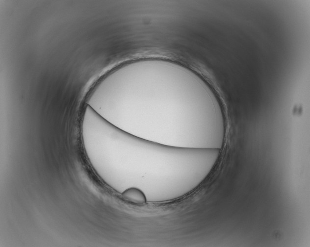 X0000111820012200908131533