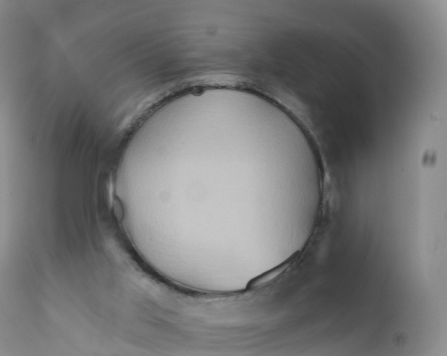 X0000111820013200908131533