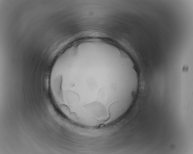 X0000111820014200908131533