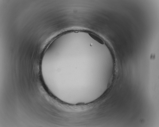 X0000111820015200908131533