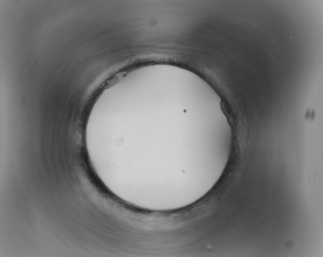 X0000111820016200908131533