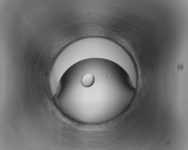 X0000111820017200908131533