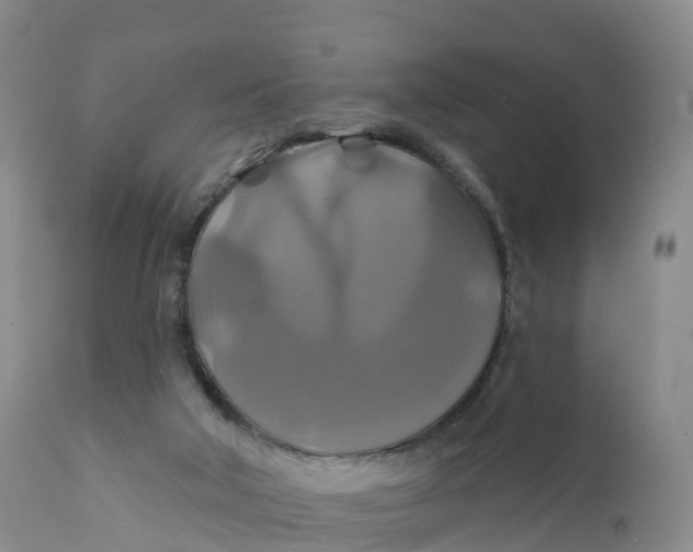 X0000111820018200908131533