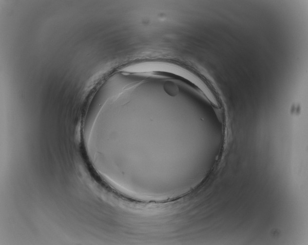 X0000111820019200908131533