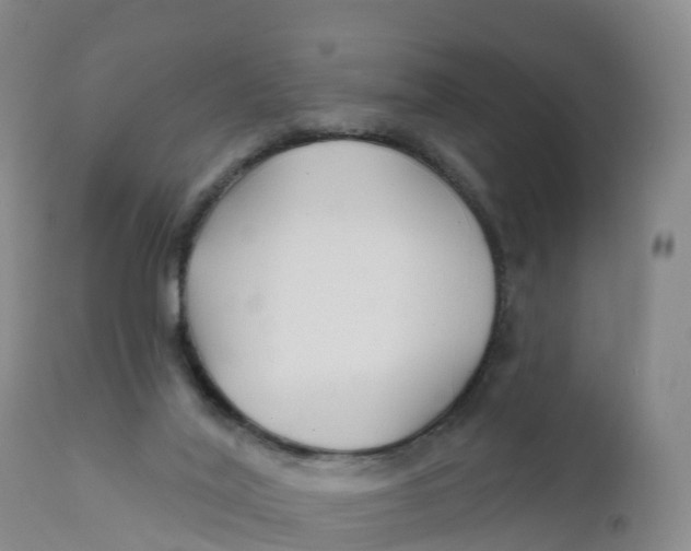 X0000111820020200908131533